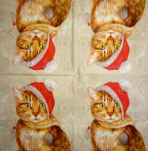 KAT-946 Cats - 3-ply - Ihr - CS